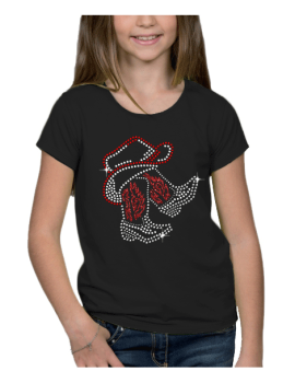 Bottes sous chapeau country...