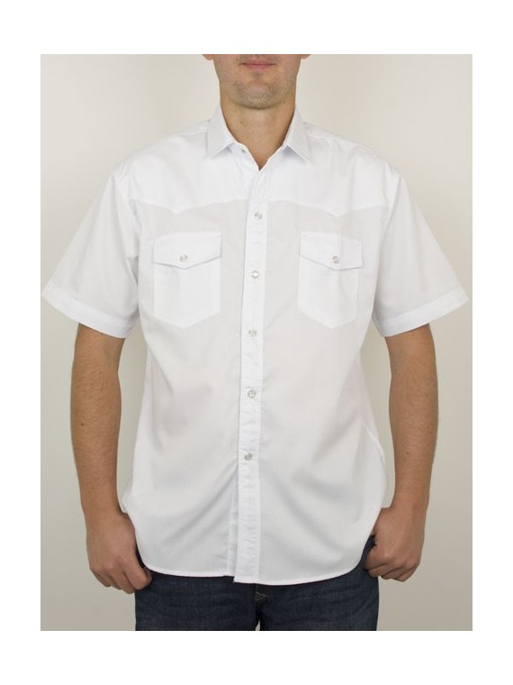 Chemise homme MC